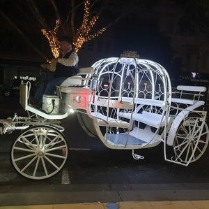 Meet your Posher, Lorraine